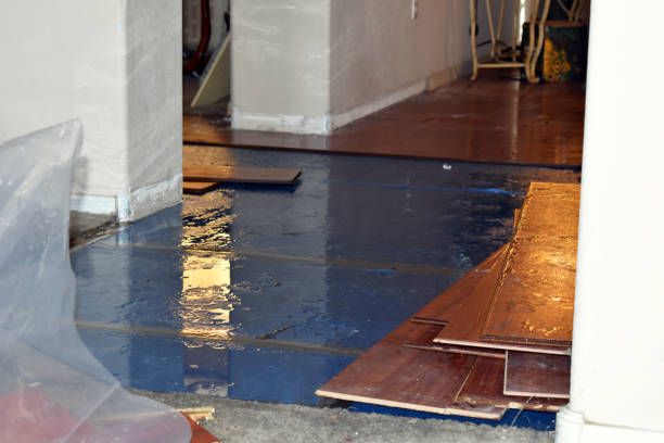Professional Water Damage Restoration technician working in Alviso, CA